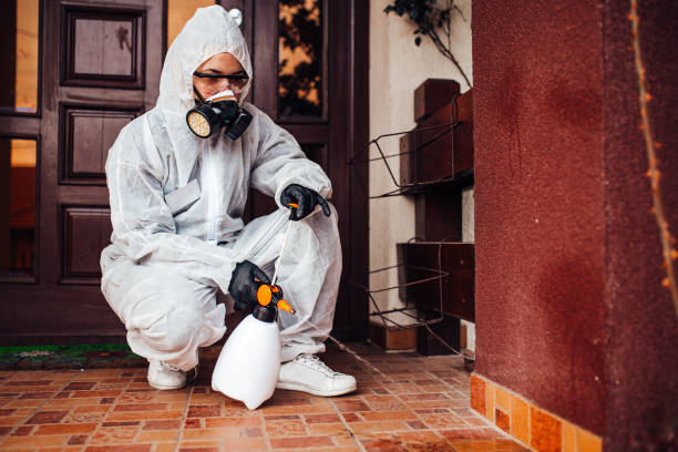 Attic and Crawl Space Rodent Treatment in Lebanon
